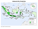 images\ID\cropprod\Indonesia_rice_preview.png
